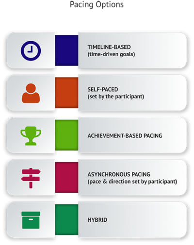 Mechanisms for Financial Literacy Projects for Middle School Choices
