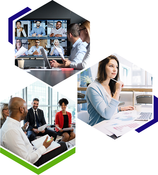 Board of Advisors Role hex 600w